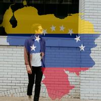 Venezuela Flag On Face Maker : Photo Editor โปสเตอร์