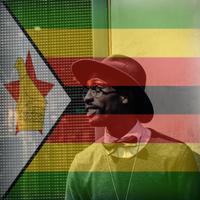 Zimbabwe Flag On Face Maker : Photo Editor Affiche