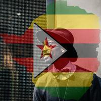 Zimbabwe Flag On Face Maker : Photo Editor capture d'écran 1