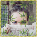 Weed Effects Photo Editor & Background Change APK