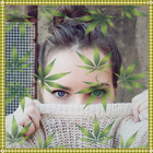 Weed Effects Photo Editor & Background Change icon