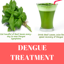 DENGUE FEVER APK