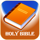 The Message Bible - Offline icône