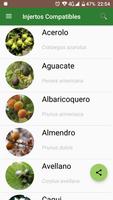 Injertos Compatibles الملصق