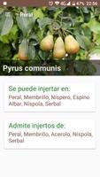 Injertos Compatibles تصوير الشاشة 1