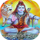 Maha Mrityunjaya Mantra أيقونة