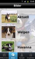 Appenzeller Hunde ảnh chụp màn hình 1