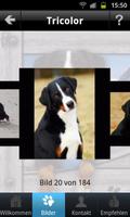 Appenzeller Hunde screenshot 2