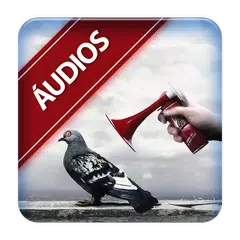 Скачать divertidos engraçados audios APK