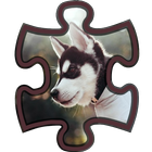 Husky Puzzle biểu tượng