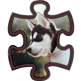 Husky Puzzle icono