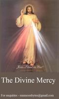 Divine Mercy Prayers Plakat