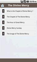 Divine Mercy Prayers スクリーンショット 1