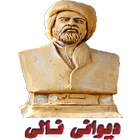 دیوانی نالی icon