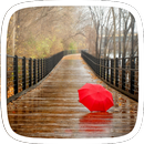 Autumn Leaves Tema APK