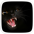 Black Mad Cat আইকন