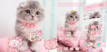 粉色貓咪桌面主題