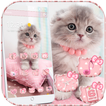 Mignon minou chat theme Cute Kitty Cat