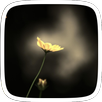 Golden Flower APK