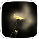 Flor dorada APK