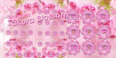 Sakura Blossom Pink Theme Affiche