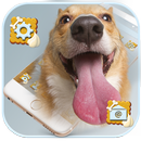 Uroczy pies lizać motyw Tapeta Cute Dog Lick aplikacja