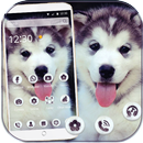 Cute Dog Theme Wallpaper APK