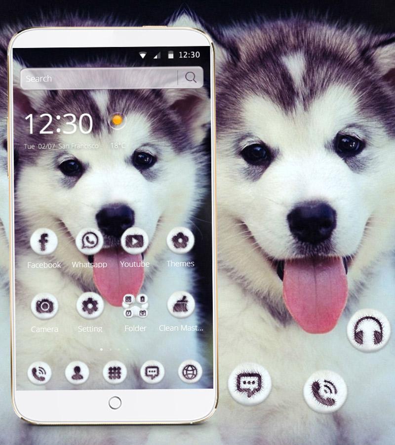 Android 用の かわいい犬のリックテーマの壁紙 Cute Dog Lick Apk をダウンロード