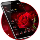 APK Red Rose Love RomanceTheme