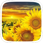Sunflower Theme Zeichen