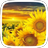 Sunflower Theme APK