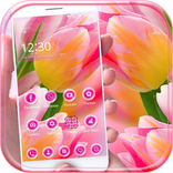 Rosa flor Primavera Tema