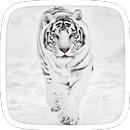 Snow Tiger Theme APK