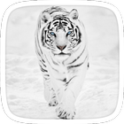 Snow Tiger Theme icon