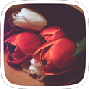 White Red Flower-APK
