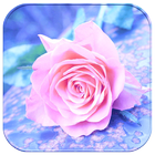 Lovely Pink Rose ícone
