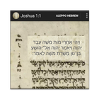 ikon Ancient Hebrew Bible