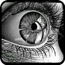 Easy and realistic pencil drawings APK