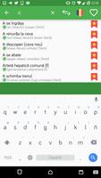 German - Romanian OFFLINE Dictionary syot layar 3