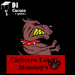 CachorroLoko Motoboy's