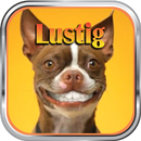Lustig APK