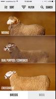 Sheep Breed Compendium by AWEX Poster