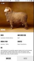 Sheep Breed Compendium by AWEX تصوير الشاشة 1