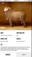 Sheep Breed Compendium by AWEX captura de pantalla 1