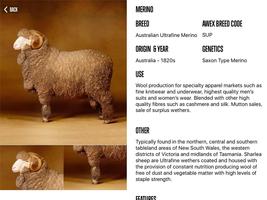 Sheep Breeds captura de pantalla 2