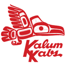 Kalum Kabs Mobile App APK