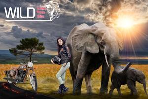 Wild Animal Photo Editor スクリーンショット 1