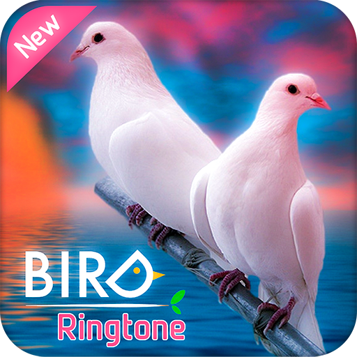 Ringtones 2018: Birds Sounds Ringtones