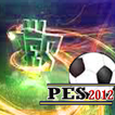 Guide pes 12