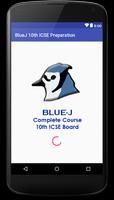 BlueJ ICSE Board 10th Complete Course Notes Poster